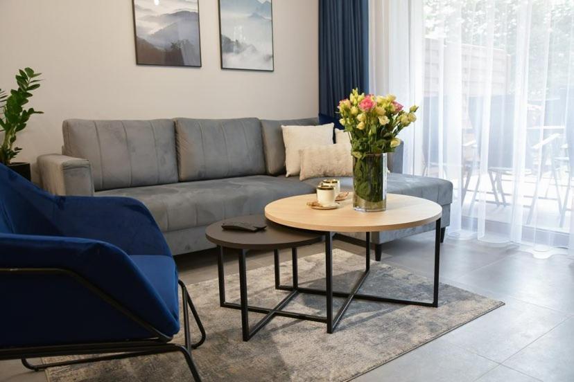 Apartament Prywatny Stone Hill Rackiewicz Z Basenem Szklarska Poręba Eksteriør billede